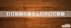 钉钉群聊在哪怎么打开钉钉群聊