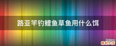 路亚竿钓鲤鱼草鱼用什么饵