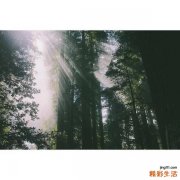 7 走出美白误区 “释放”你的美