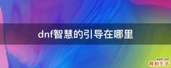dnf智慧的引导在哪里