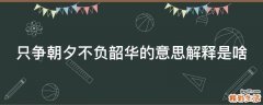 只争朝夕不负韶华的意思解释是啥