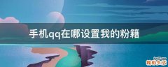 手机qq在哪设置我的粉籍