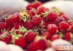 桑葚的功效与作用 桑葚的作用居然这么大