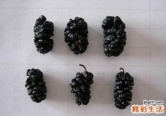 桑葚干泡水一天需几粒 桑葚干泡水喝的功效