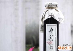 桑葚酒的功效与作用
