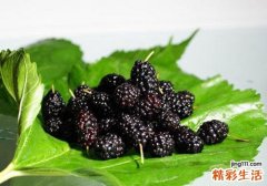 桑葚上火吗