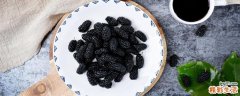 桑葚酒女人喝了有什么好处 桑葚泡酒一斤酒放多少桑葚