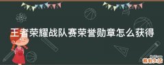 王者荣耀战队赛荣誉勋章怎么获得