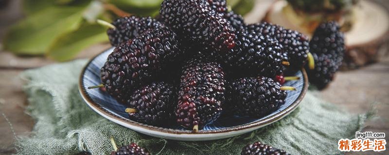 4类人不宜吃桑葚 脾胃虚弱者可以吃桑葚吗