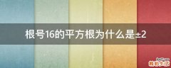 根号16的平方根为什么是±2