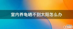 室内养龟晒不到太阳怎么办