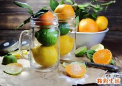 柠檬和橙子的区别 柠檬和橙子一样吗