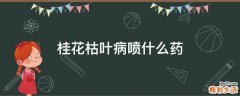 桂花枯叶病喷什么药