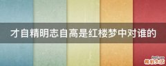 才自精明志自高是红楼梦中对谁的