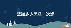 蓝猫多少天洗一次澡