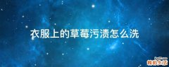 衣服上的草莓污渍怎么洗