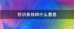 你识条铁咩什么意思