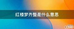 红楼梦齐整是什么意思