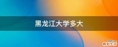 黑龙江大学多大