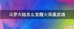 斗罗大陆怎么觉醒火凤凰武魂
