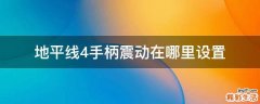 地平线4手柄震动在哪里设置