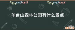 羊台山森林公园有什么景点