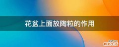 花盆上面放陶粒的作用
