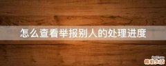 怎么查看举报别人的处理进度