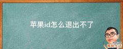 苹果id怎么退出不了