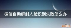 微信自助解封人脸识别失败怎么办