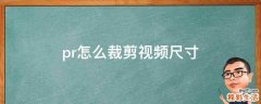 pr怎么裁剪视频尺寸