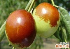 冬枣是酸性还是碱性