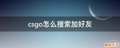 csgo怎么搜索加好友