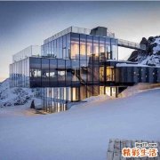 泽泻叶