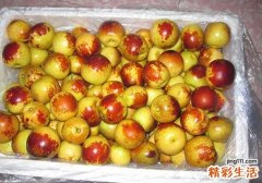 冬枣怎么保存