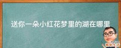 送你一朵小红花梦里的湖在哪里