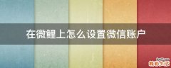 在微鲤上怎么设置微信账户