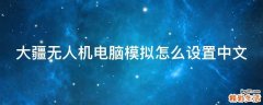 大疆无人机电脑模拟怎么设置中文