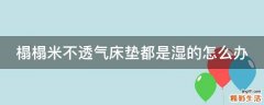 榻榻米不透气床垫都是湿的怎么办