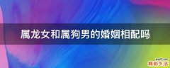 属龙女和属狗男的婚姻相配吗