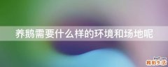 养鹅需要什么样的环境和场地呢