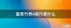 富贵竹养6根代表什么
