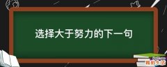 选择大于努力的下一句