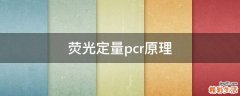 荧光定量pcr原理