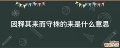 因释其耒而守株的耒是什么意思