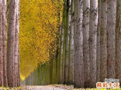 2 古中医认识卵巢癌