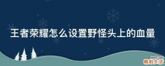 王者荣耀怎么设置野怪头上的血量