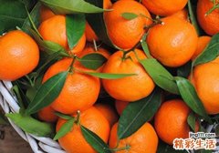 吃橘子牙酸怎么办 学着这9个小方法，就不用怕牙酸了！