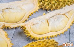吃榴莲喝牛奶会中毒吗 榴莲和牛奶能同食吗