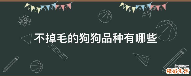 不掉毛的狗狗品种有哪些